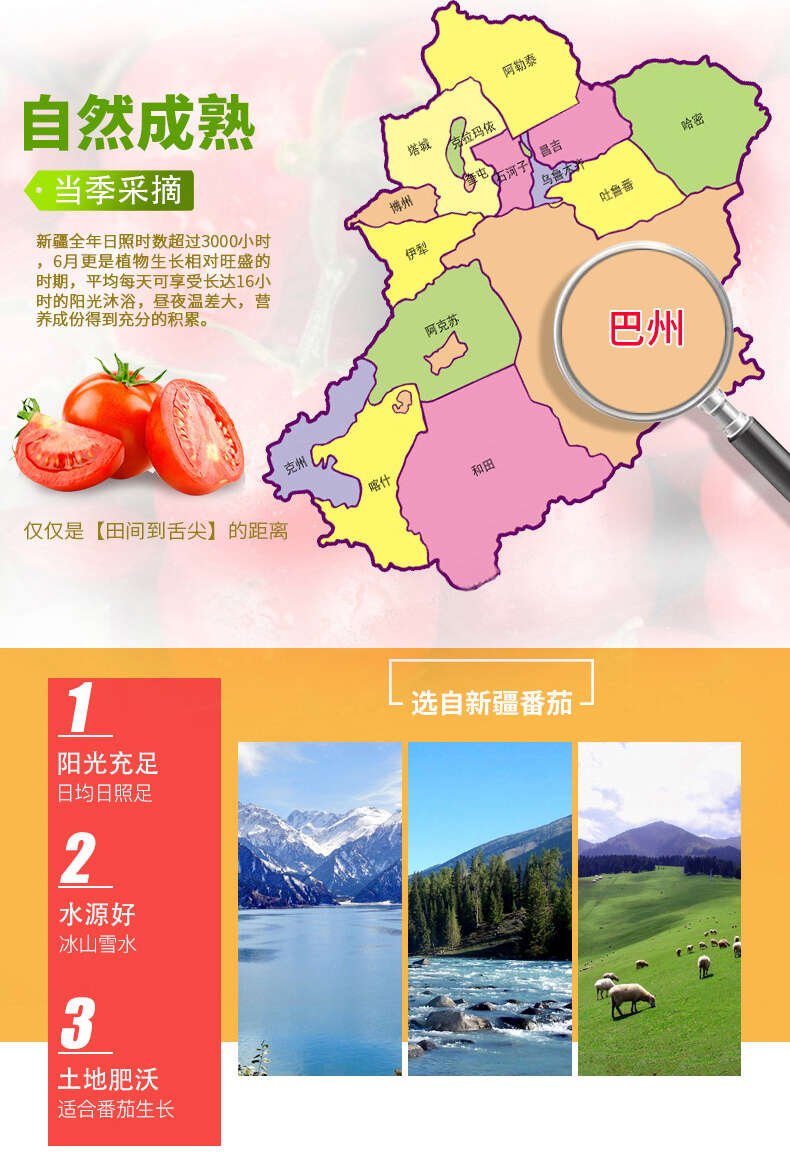 详情页 (5).jpg 详情页 (5).jpg