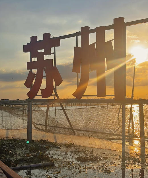 阳澄湖大闸蟹｜御姑苏（下单备注要几公几母，备注几号发货）真正的阳澄湖大闸蟹 商品图5