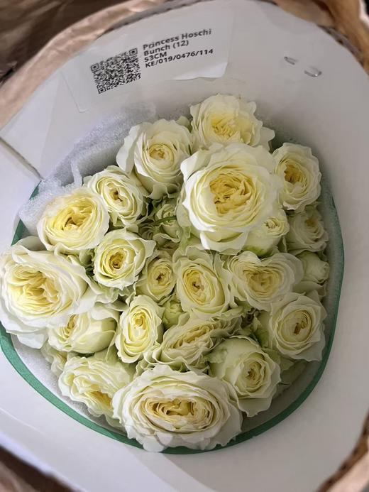 肯尼亚玫瑰princess hoshi星公主12支 商品图0