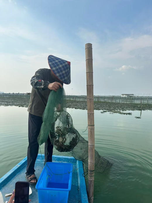 阳澄湖大闸蟹｜御姑苏（下单备注要几公几母，备注几号发货）真正的阳澄湖大闸蟹 商品图6