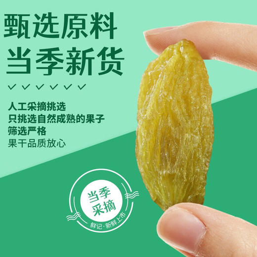 鲜记绿香妃葡萄干388g 商品图2