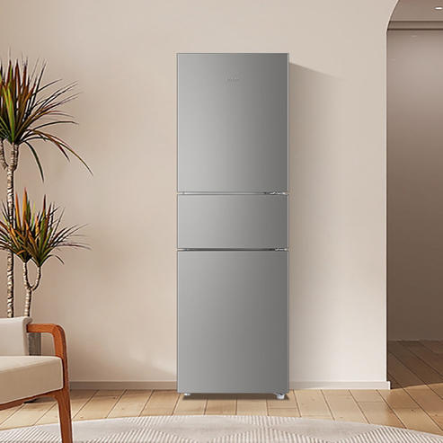 海尔（Haier）冰箱 BCD-217WGHC3E9H9 商品图3