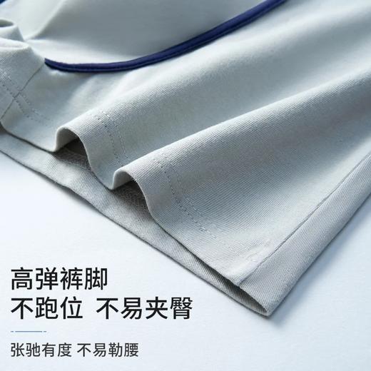【两条装】男士弹力棉长绒棉印花加肥加大平角内裤3223/3225/3265 商品图8