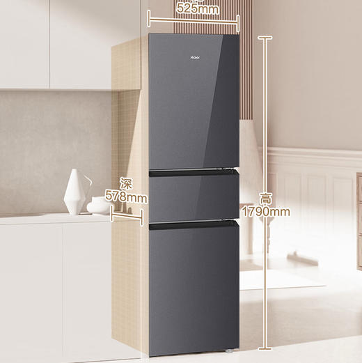 海尔（Haier）冰箱 BCD-218WGHC3E9YS 商品图2