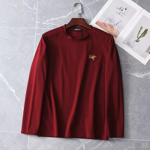 【高品质盒装打底衫】  9色齐发 始祖鸟男士长袖t恤 商品图3