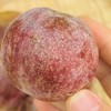 【中秋好礼】石家庄优选仓库速达  新疆杏李.恐龙蛋，玫瑰色的果子，果肉饱满多汁，风味独特， 净重3斤/15枚礼盒 商品缩略图8