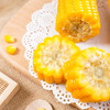 溢田有机小园甜糯玉米（200g*10） 商品缩略图5