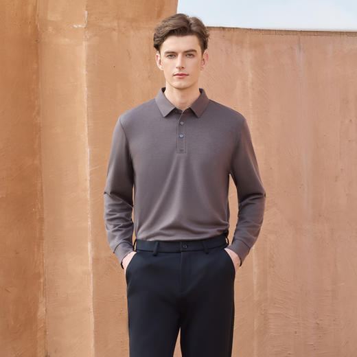 半身缘男装 秋季POLO衫羊毛柔软透气简约时尚百搭253112M03910004 商品图0