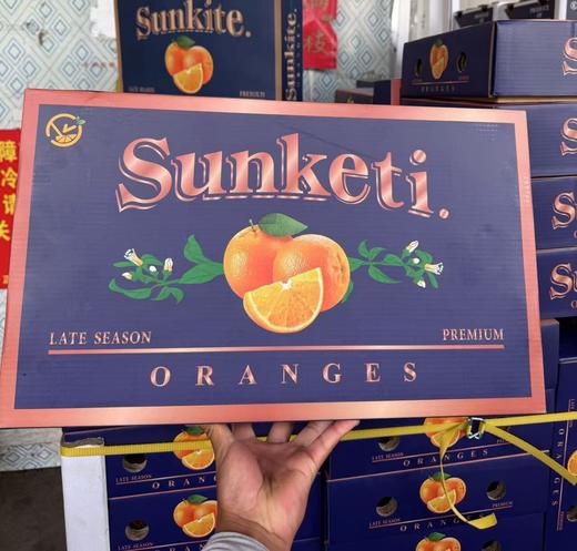 进口金巴利甜橙 大果 橙子 礼盒 商品图5