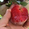 【中秋好礼】石家庄优选仓库速达  新疆杏李.恐龙蛋，玫瑰色的果子，果肉饱满多汁，风味独特， 净重3斤/15枚礼盒 商品缩略图7