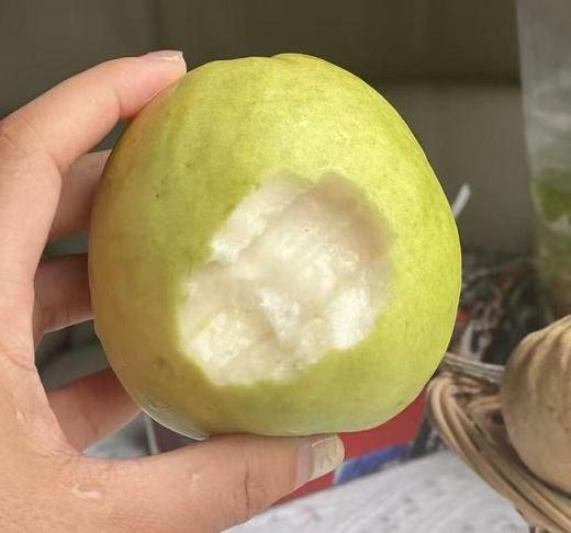 芭乐妹妹 奶油芭乐 净重4.5-5斤/箱 商品图1