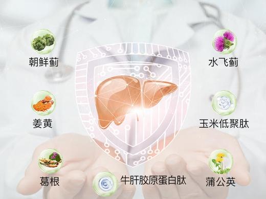 OIWE牛肝胶原蛋白双蓟片 适合熬夜保养 聚餐喝酒前口服推荐 商品图1