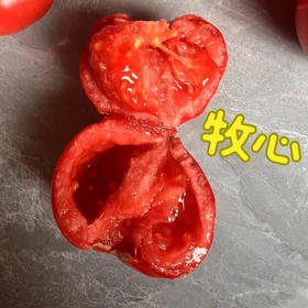 甘肃高糖牧心番茄，纯有机，甘肃昼夜温差大，番茄的甜度高，口感好，特别好吃，约3斤/份