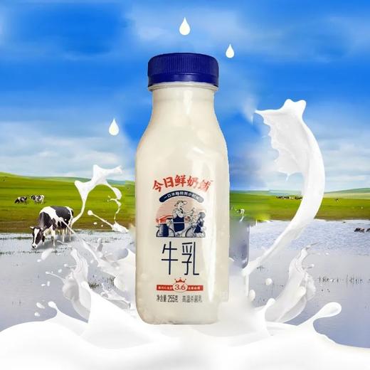 【超市】新希望雪兰今日鲜奶铺255g 商品图0