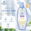 莱清菲 莹润修复花香洗发水 500ml/瓶 商品缩略图1