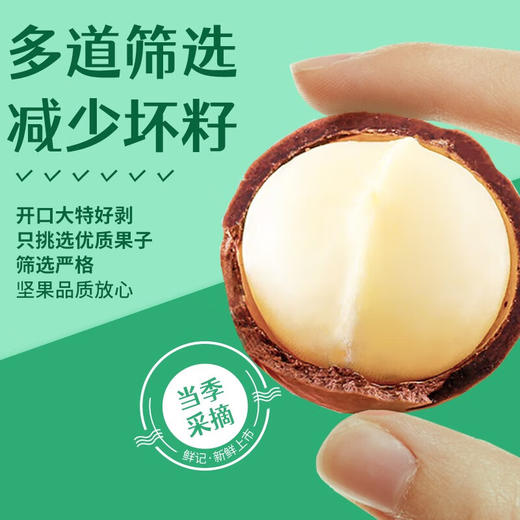 鲜记夏威夷果388g 商品图2