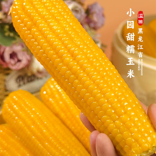 溢田有机小园甜糯玉米（200g*10） 商品图1