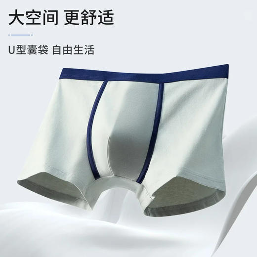 【两条装】男士弹力棉长绒棉印花加肥加大平角内裤3223/3225/3265 商品图5
