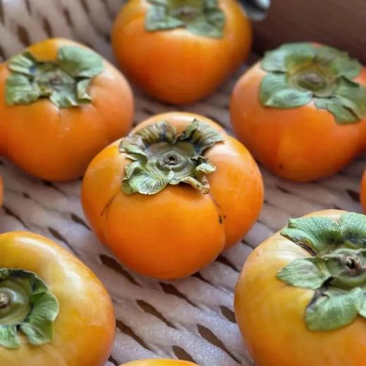 39.9抢5斤2025头茬 云南高山次郎吉柿 日本进口品种 无涩无核 自带“冰糖心 糖度18+基地直邮 商品图5