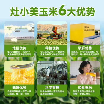 灶小美【内蒙古产地】黄糯八厘米玉米段12袋≥4斤粗粮 源头直发包邮 /粮油调味 /杂粮 /谷米类 商品图1