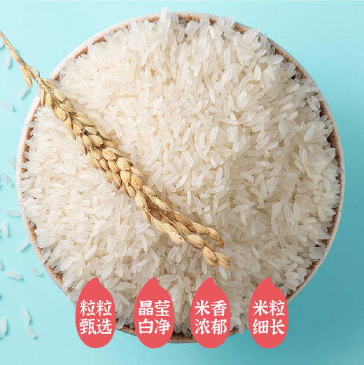 袁谷洞庭稻虾香米5kg一年一季稻洞庭湖基地核心产区口感松软弹滑米香浓郁南方一级籼米10斤当季新米 商品图1