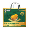 溢田有机小园甜糯玉米（200g*10） 商品缩略图0