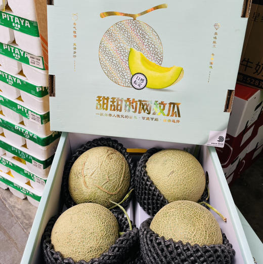 【高端新鲜网纹蜜瓜/红肉网纹瓜】越放越甜，原自日本品种，海南有机种植网纹瓜。一藤一瓜，瓜中之~果形圆正，艺术般的网纹，翡翠般的果肉，放软了吃口感更佳，～ 商品图9
