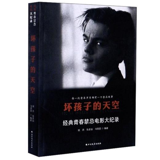 【独家特价旧书3折】坏孩子的天空:经典青春禁忌电影大纪录cs 商品图0