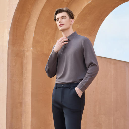 半身缘男装 秋季POLO衫羊毛柔软透气简约时尚百搭253112M03910004 商品图2