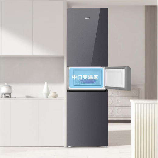 海尔（Haier）冰箱 BCD-218WGHC3E9YS 商品图5