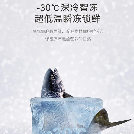 卡萨帝（Casarte）冰箱 BCD-553WGCFDA4SCU1(Pro) 商品图12