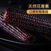 北纬47°黑甜糯玉米棒2.4斤(200g*6根)东北鲜黏糯玉米棒真空包装 早餐苞米 /粮油调味 /杂粮 /谷米类 商品缩略图6