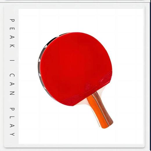 匹克*乒乓球拍双横拍套装YY11401—rxs 商品图4