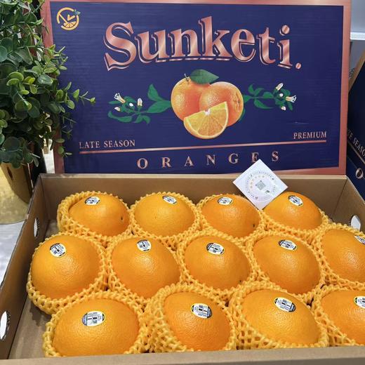 进口金巴利甜橙 大果 橙子 礼盒 商品图6