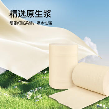 泉林本色卷纸 3层160节*10卷 卫生纸巾 厕纸 无芯卷纸 卷筒纸 可冲散提装 商品图2