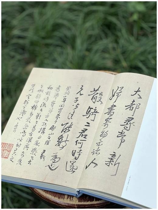 重点推荐！！《师古第一：王铎书画题跋名品精粹》，16开，布面精装，段奇编著，中国文联出版社2025年8月一版一印，316页，定价345元，售价：258元。 商品图3