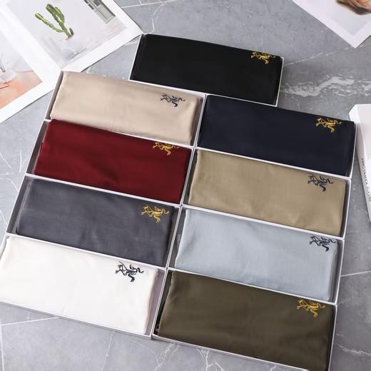 【高品质盒装打底衫】  9色齐发 始祖鸟男士长袖t恤 商品图0