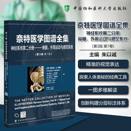 奈特医学图谱全集 神经系统第二分册 脊髓、外周运动与感觉系统(第3版第7卷)朱以诚 主编 9787567925731中国协和医科大学出版社 商品图0