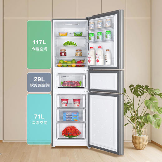 海尔（Haier）冰箱 BCD-217WGHC3E9H9 商品图2