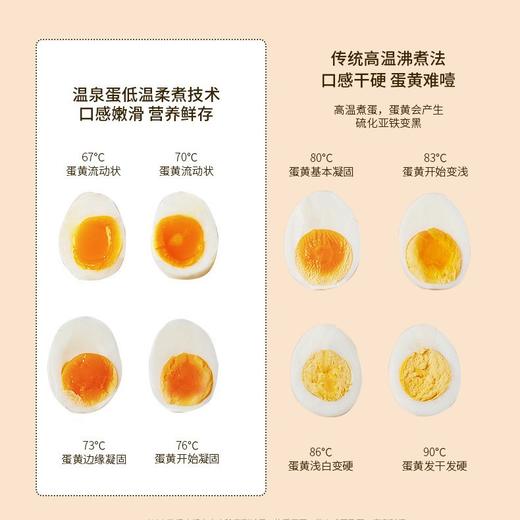 新款煮蛋器家用早餐机定时预约煮鸡蛋神器宿舍多功能小蒸蛋器 商品图3