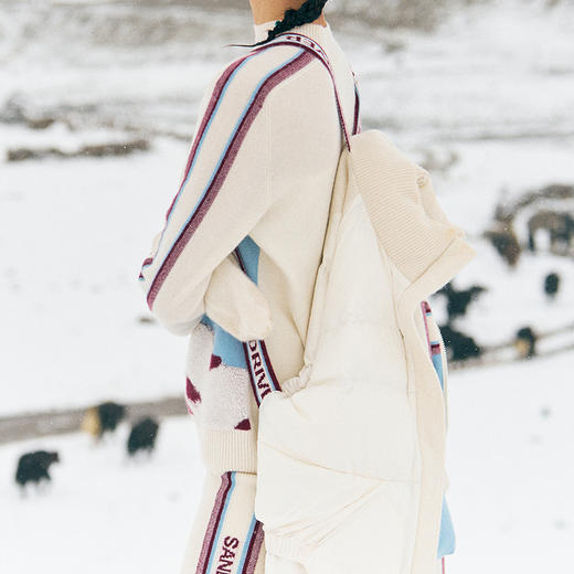 羊绒提花鹅绒羽绒服  SJF97W293N 商品图7