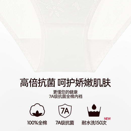 3条98元好奇蜜斯蕾丝内裤女性感7A抗菌纯棉裆舒适透气低腰夏薄款  阿南雅 商品图2