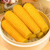 溢田有机小园甜糯玉米（200g*10） 商品缩略图3
