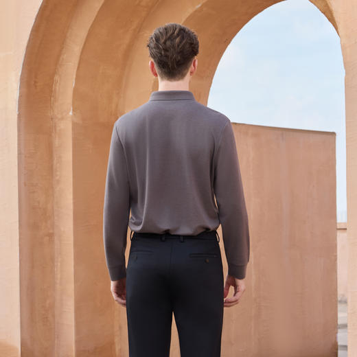 半身缘男装 秋季POLO衫羊毛柔软透气简约时尚百搭253112M03910004 商品图4