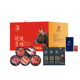 京乡牧源-优选草原牛肉礼盒599档（注：冷冻生鲜类商品不退，质量问题只换）