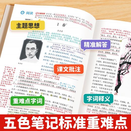 【斗半匠】2025新版上册 课堂笔记初中语数英随堂笔记随堂练习全版本 商品图2