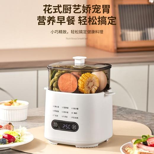 新款煮蛋器家用早餐机定时预约煮鸡蛋神器宿舍多功能小蒸蛋器 商品图0
