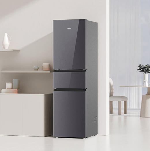 海尔（Haier）冰箱 BCD-218WGHC3E9YS 商品图9