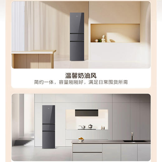 海尔（Haier）冰箱 BCD-218WGHC3E9YS 商品图3