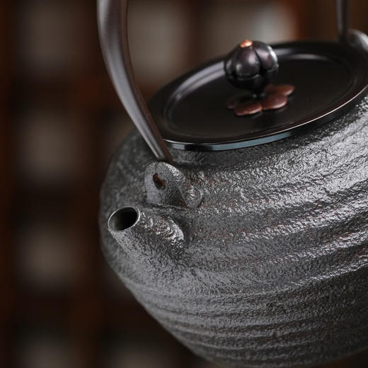 暗香疏影/铁壶/传灯壶/手工无涂层铸铁壶烧水壶老铁壶茶壶 商品图1